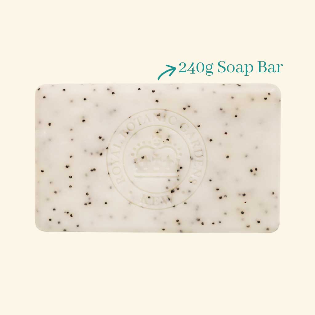Kew Gardens Lemongrass and Lime Soap