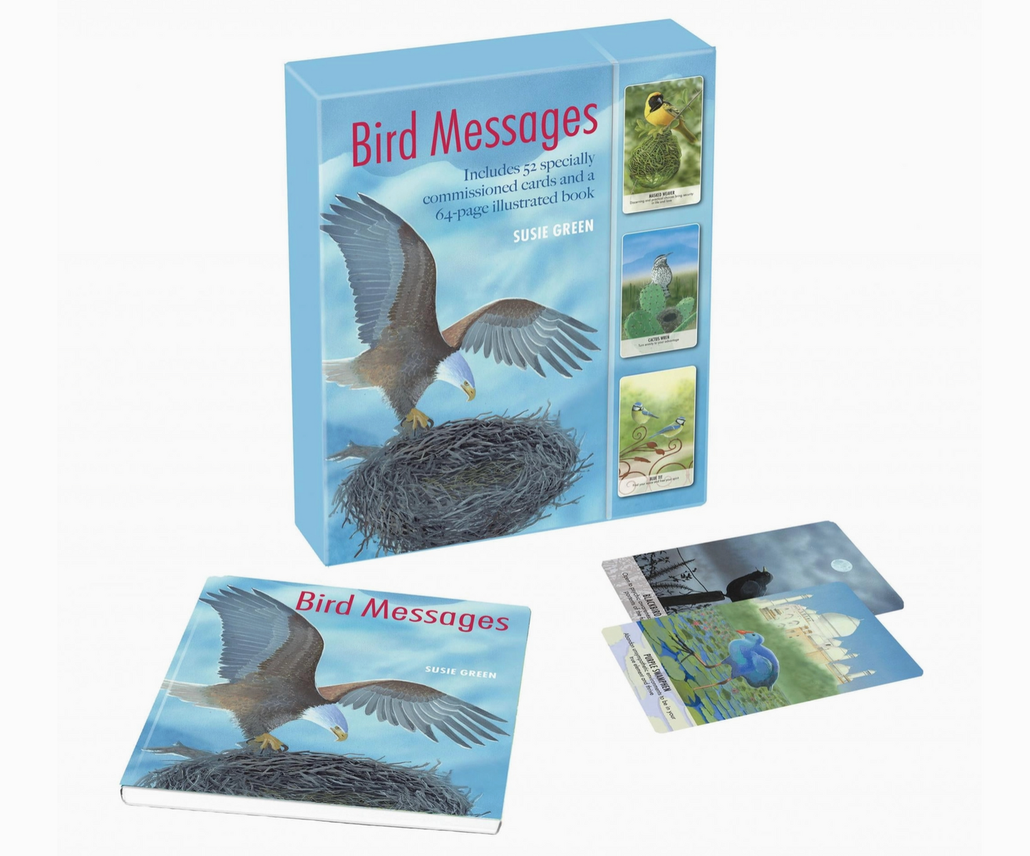 Bird Messages