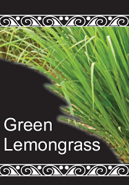 Green Lemongrass