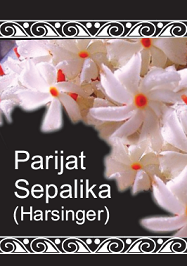 Parijat Sepalika (Harsinger)