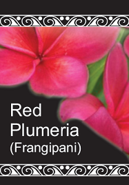 Red Plumeria (Frangipani)