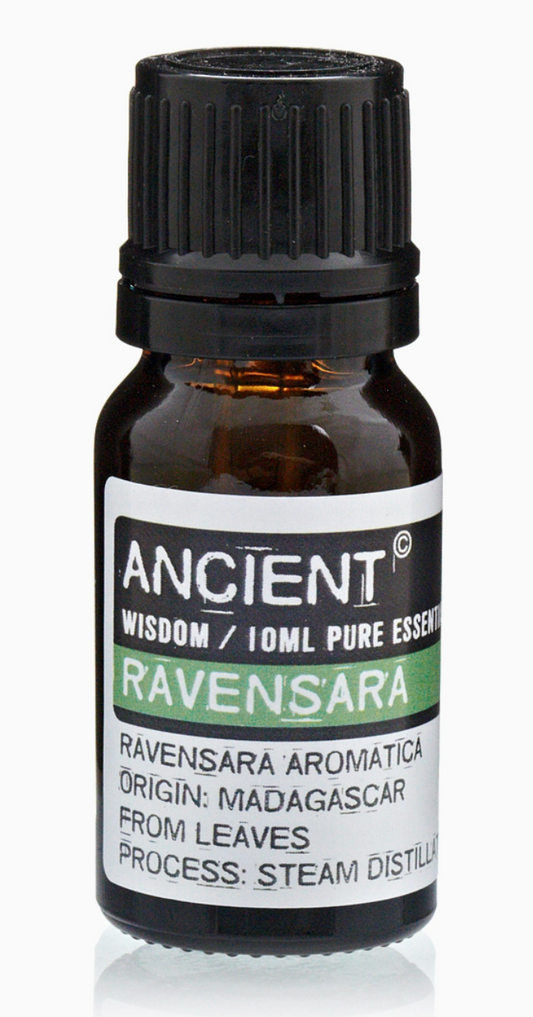 Fragranced Essential Oil - Ravensara