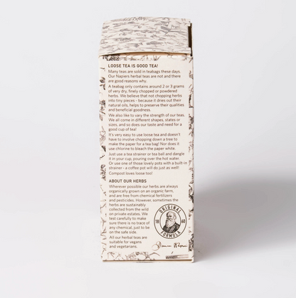 Study Herbal Tea Blend
