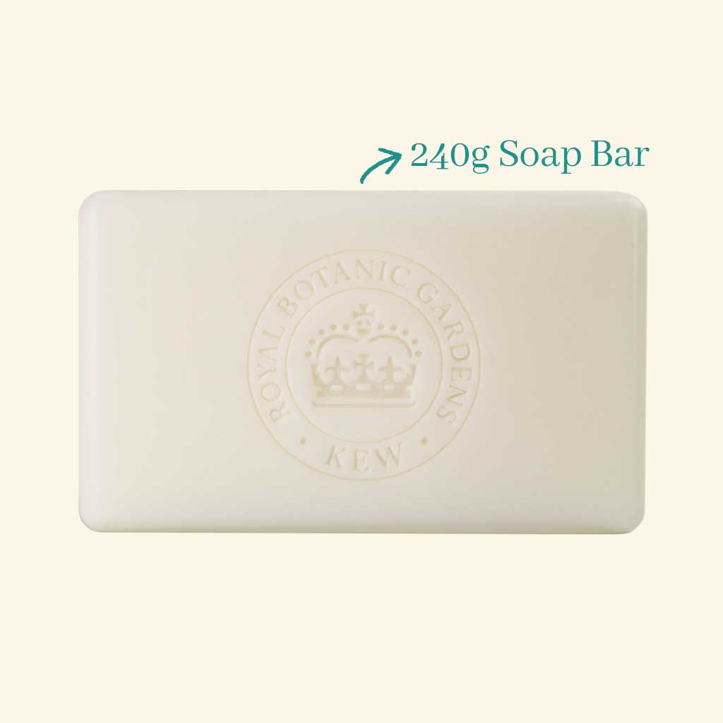 Kew Gardens Bluebell and Jasmine Soap